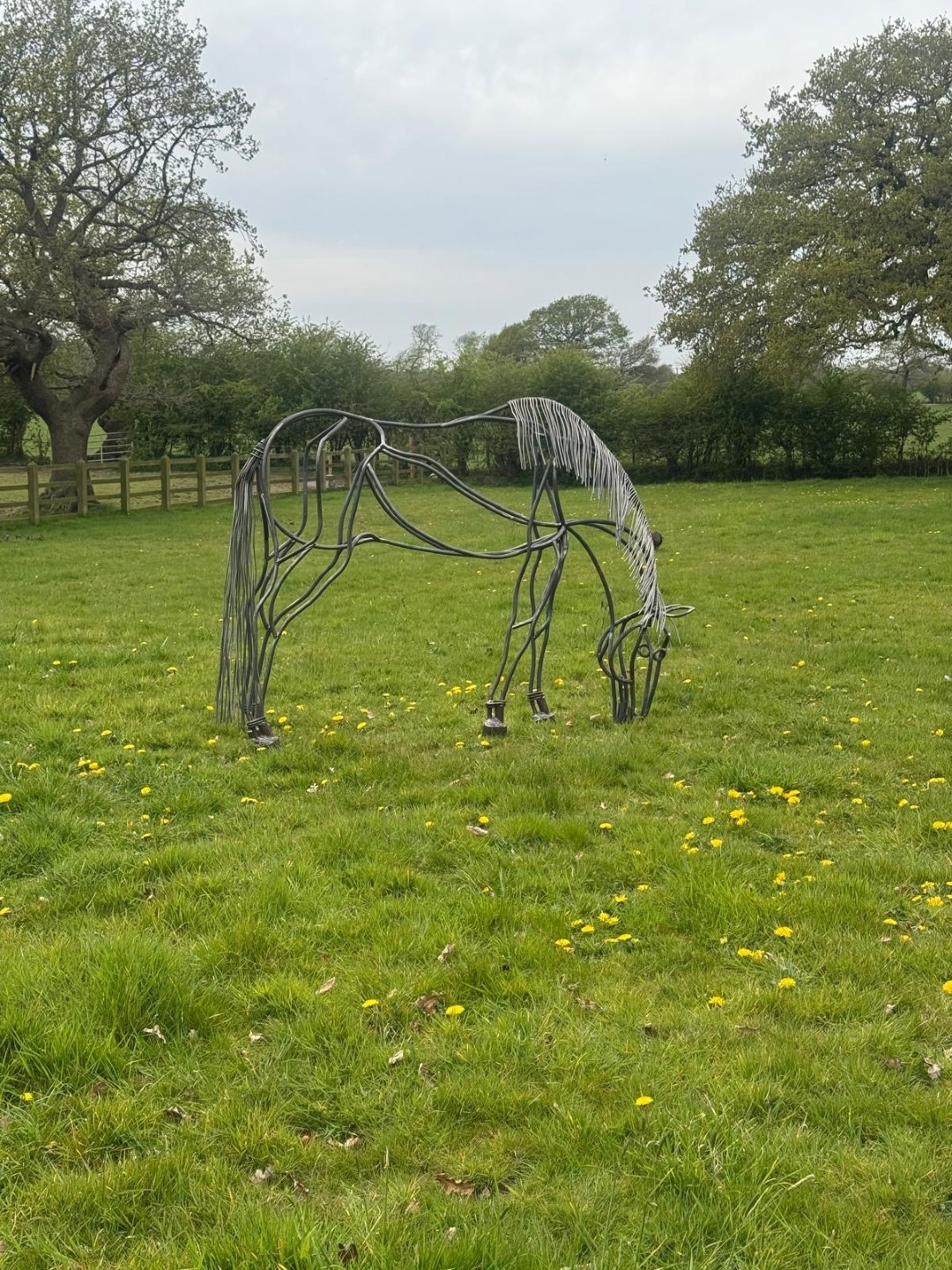 Allan poxton horse sculptures 12 (Large)